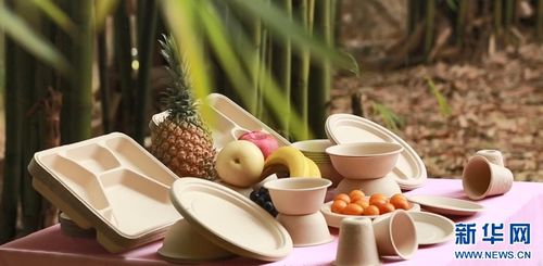 七十二變，竹產業拔節向上——環?？萍假x能傳統產業煥新