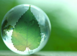 十三五環?？萍键c將專項 推動行業實現全方位跨越