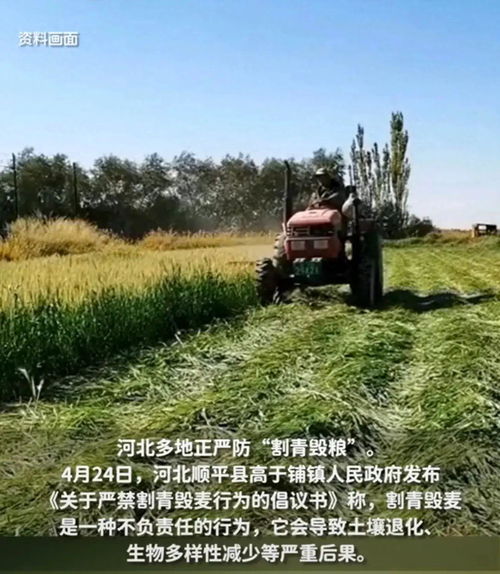 金色府谷迎盛會，海紅果香鎂業(yè)興