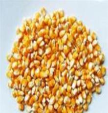 智能化糧食收購(gòu)方案助力現(xiàn)代農(nóng)業(yè)高效運(yùn)營(yíng)