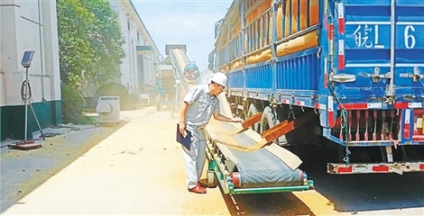 構(gòu)建我國(guó)糧食安全長(zhǎng)效機(jī)制 確保不出現(xiàn)大面積“賣糧難”